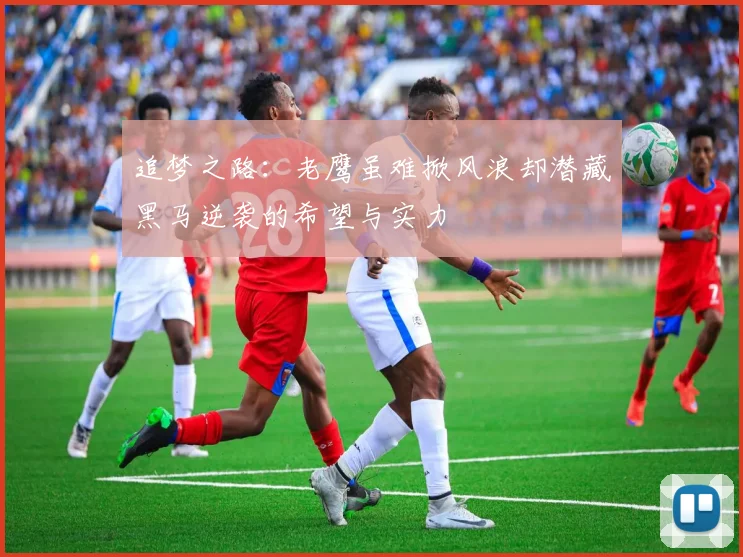 追梦之路：老鹰虽难掀风浪却潜藏黑马逆袭的希望与实力